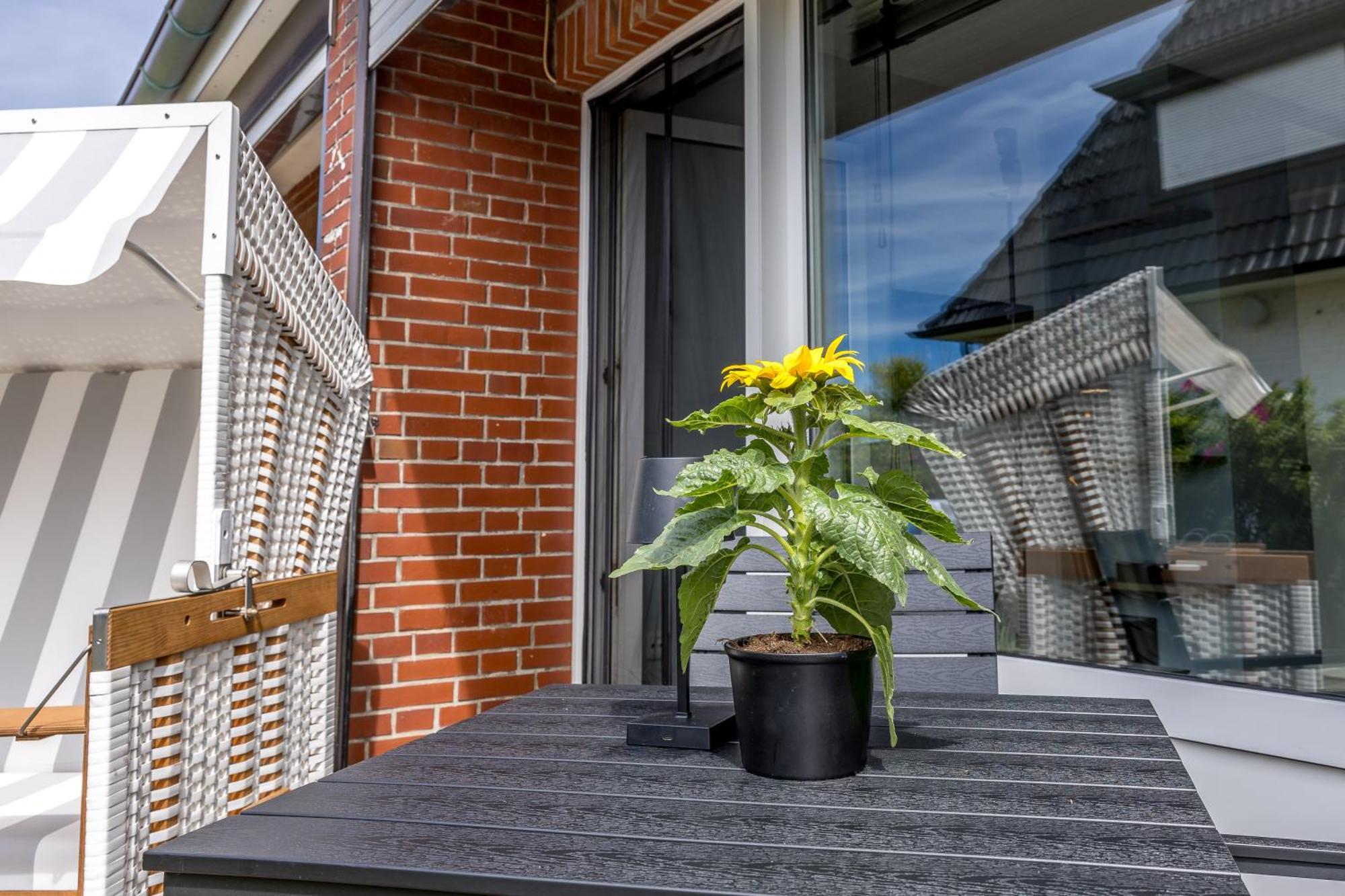 Isola Apartment Wenningstedt-Braderup Exterior photo